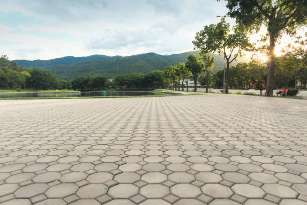 Best Commercial Driveway Pavers  in Oak Grove, KY